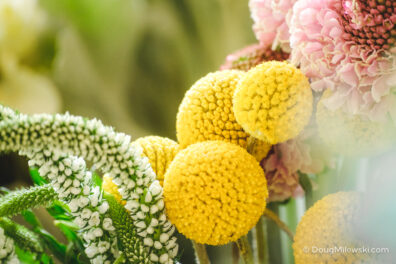 Billy Ball Flowers